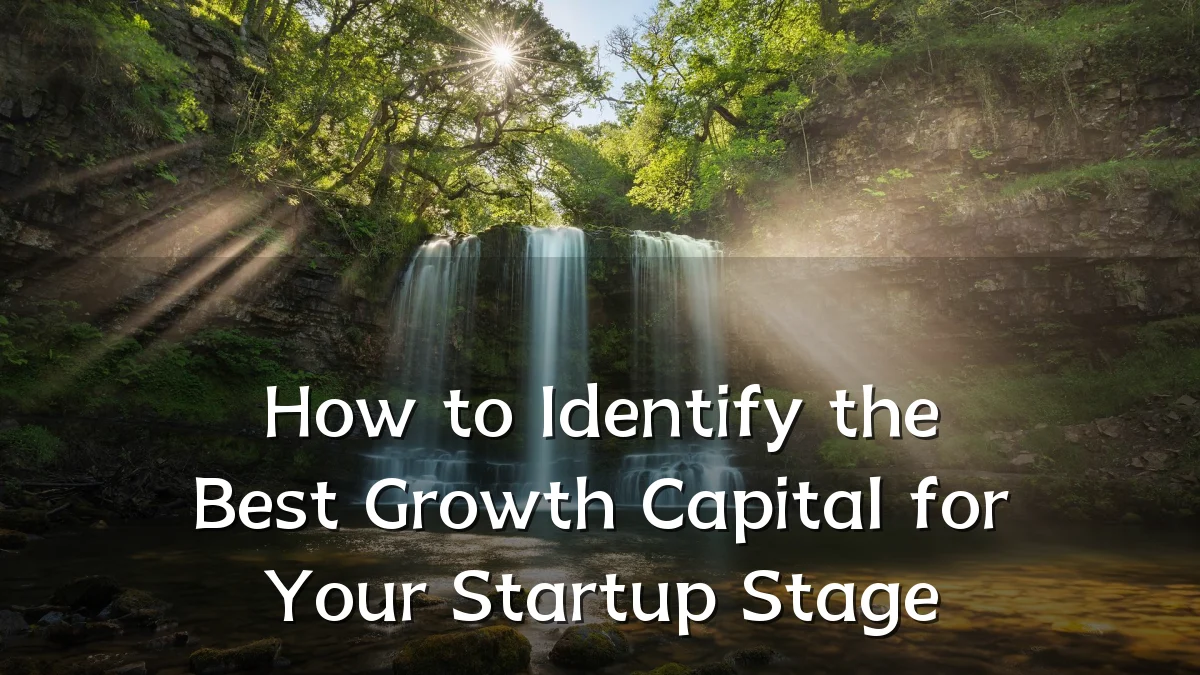 How to Identify the Best Growth Capital for Your Startup Stage