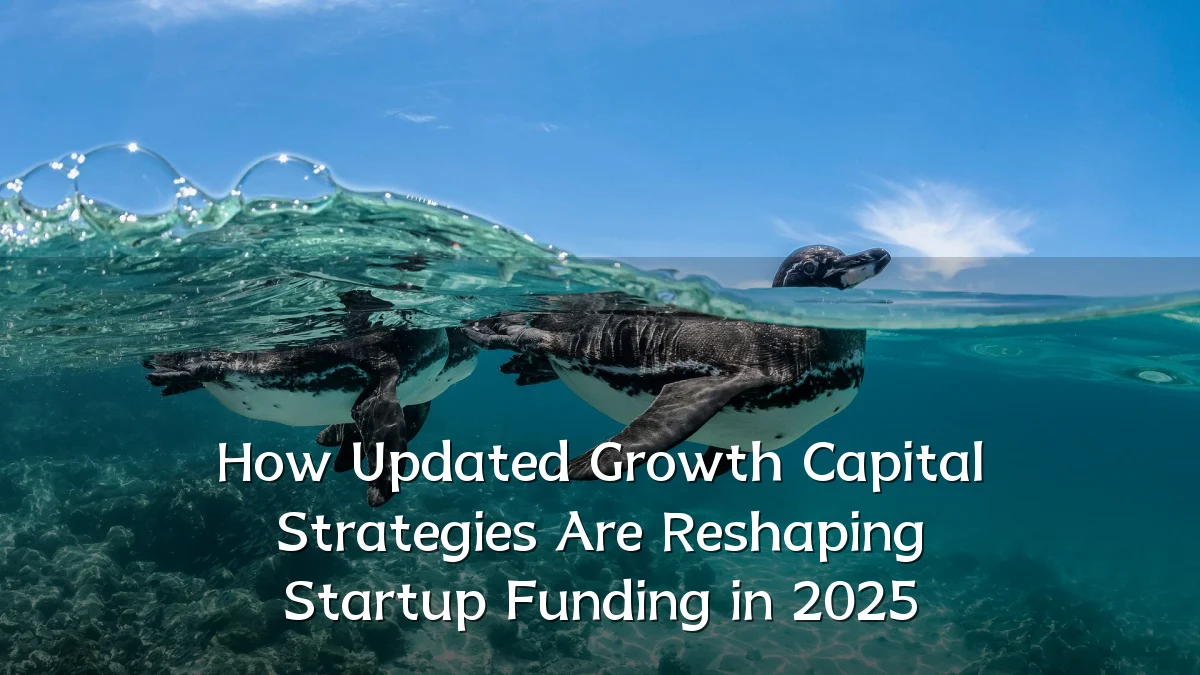 How Updated Growth Capital Strategies Are Reshaping Startup Funding in 2025