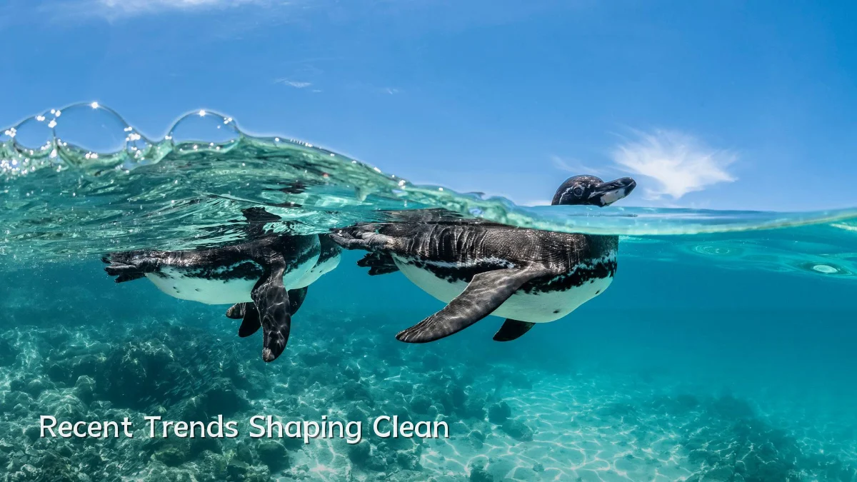 Recent Trends Shaping Clean