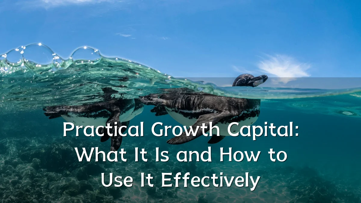 Practical Growth Capital: What It Is and How to Use It Effectively