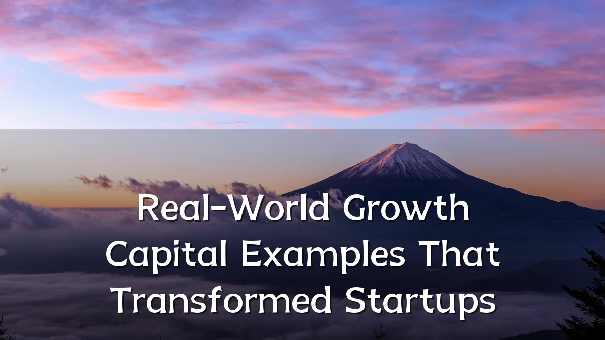 Real-World Growth Capital Examples That Transformed Startups