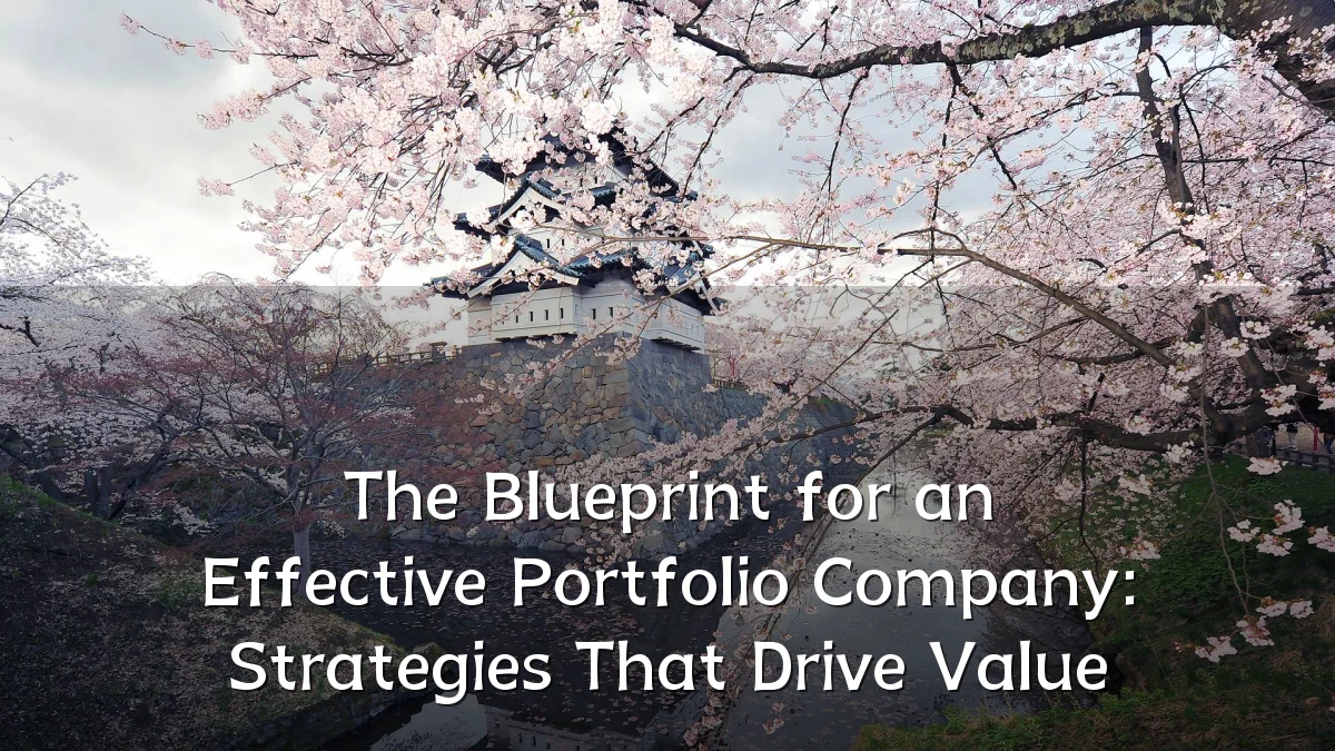 The Blueprint for an Effective Portfolio Company: Strategies That Drive Value