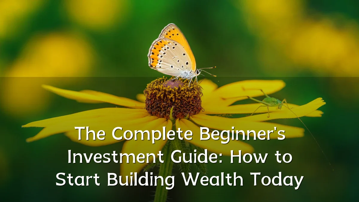 The Complete Beginner's Investment Guide: How to Start Building Wealth Today