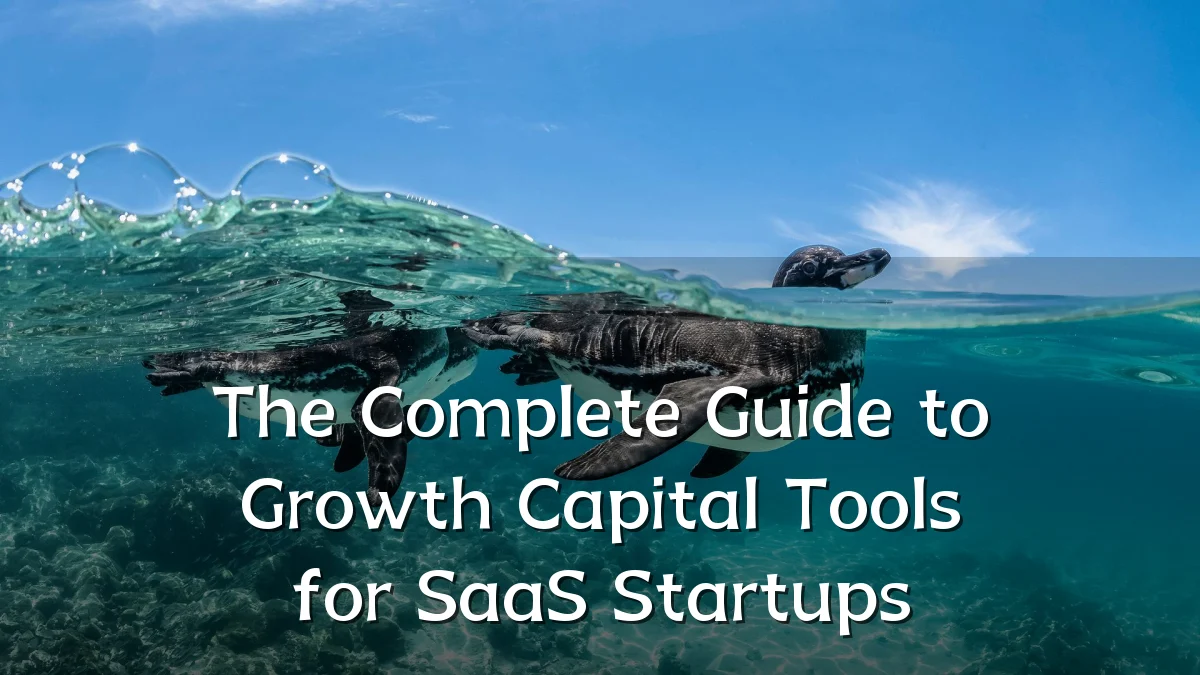 The Complete Guide to Growth Capital Tools for SaaS Startups