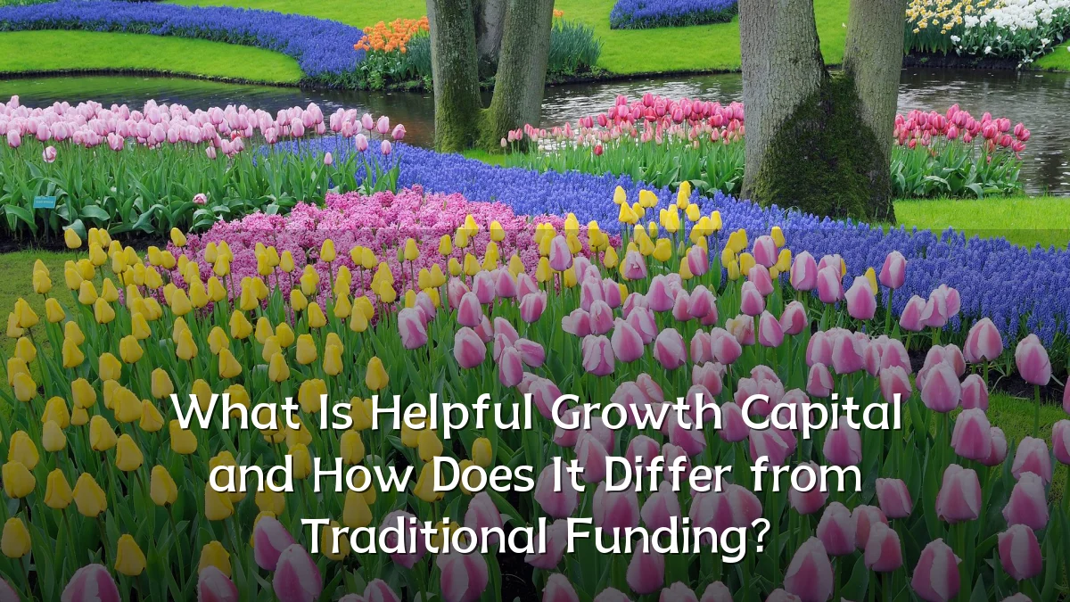 What Is Helpful Growth Capital and How Does It Differ from Traditional Funding?