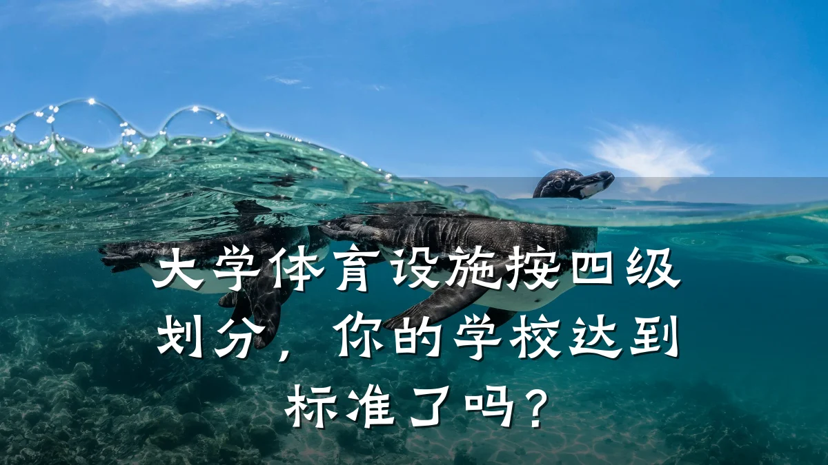 大学体育设施按四级划分，你的学校达到标准了吗？